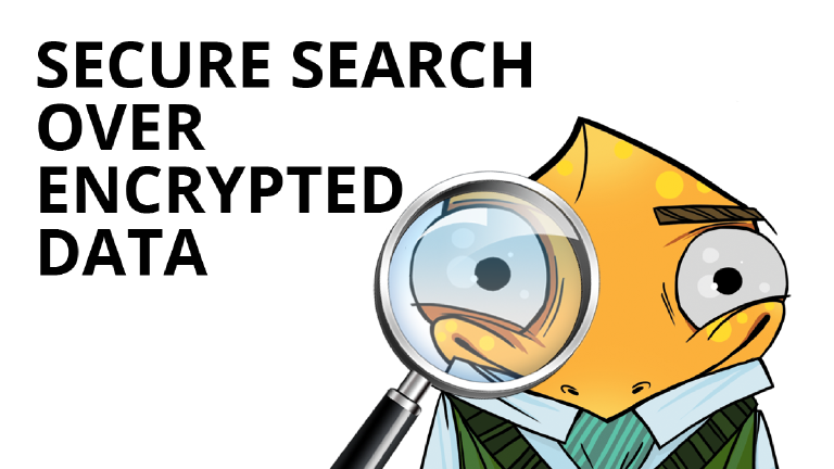 Secure search over encrypted data